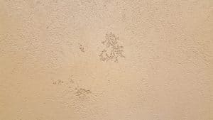 Stucco Textures - Cat Face Textures